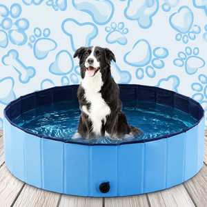 Splash Pond | Foldable Dog Pool with Non-Toxic PVC Material | Portable Water Fun for All Dogs