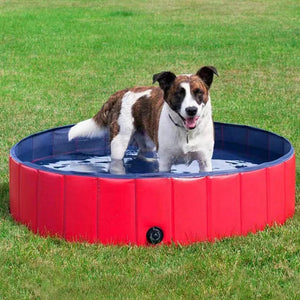 Foldable Dog Swimming Pool | Instant Setup with Durable Design for Outdoor Fun