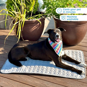 Pet Cooling Mat for Dogs - Portable and Safe